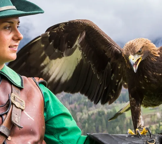 Falknerin in Tracht mit Steinadler in den Bergen